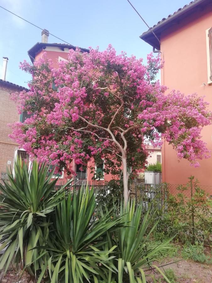 Grigio Perla Panigale, Villetta Con Giardino E Parcheggio Privato Fino A Tre Posti Auto - Un Oasi Di Tranqullita Bolonya Dış mekan fotoğraf
